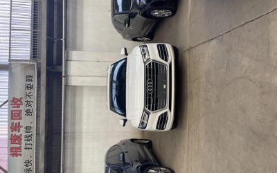 r1019540-audi-q5l-2019_0