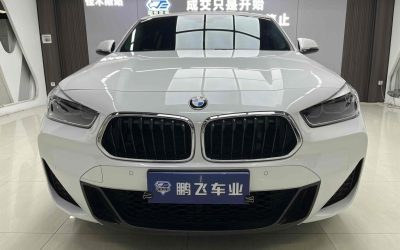 r1019669-bmw-x2-2020_0