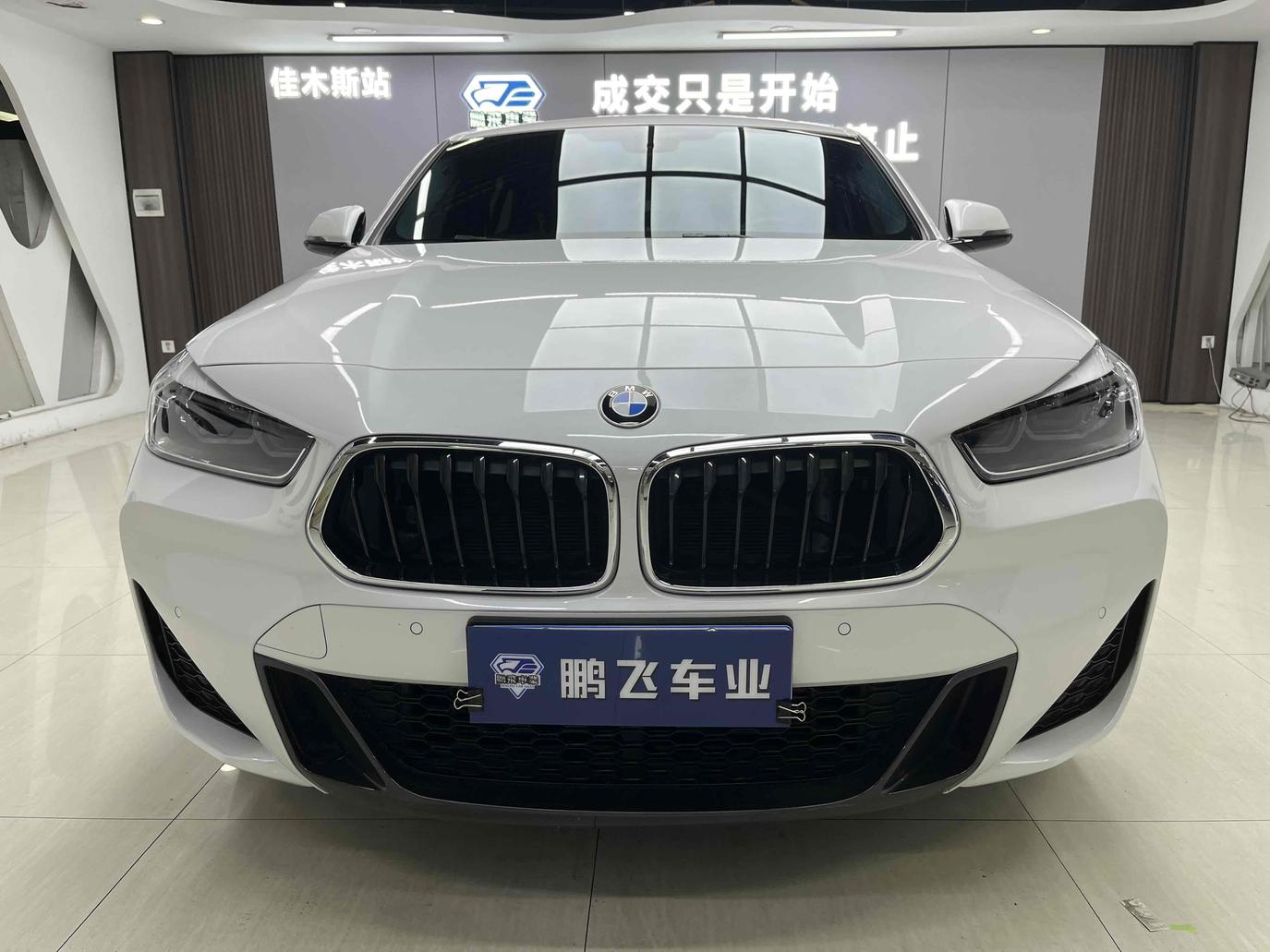 r1019669-bmw-x2-2020_0