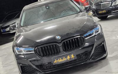 r1019749-bmw-5-series-2011_0
