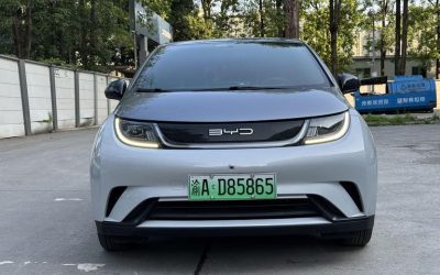 r1019756-byd-dolphin-2021_0