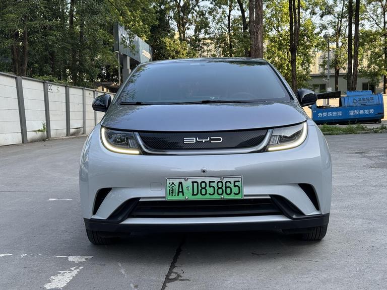 r1019756-byd-dolphin-2021_0