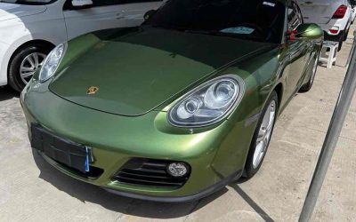 r1019848-porsche-cayman-2011_0