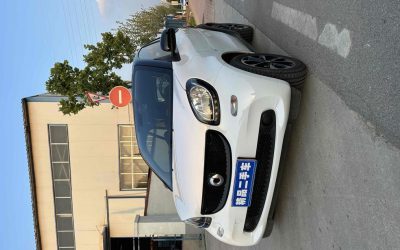 r1019890-smart-fortwo-2016_0