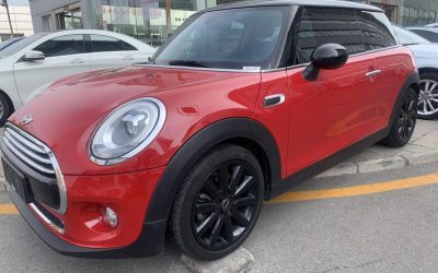 r1019930-mini-2018_0