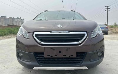 r1020079-peugeot-2008-2015_0