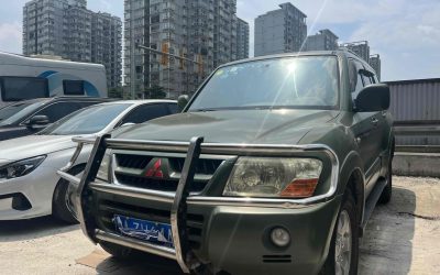 r1020188-mitsubishi-pajero-2010_0