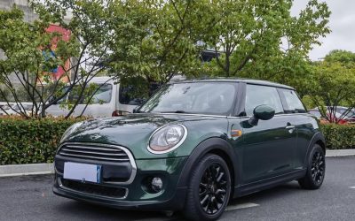 r1020221-mini-2018_0