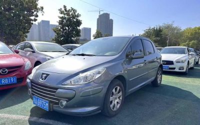 r1020480-peugeot-307-2013_0