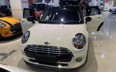 r1020484-mini-2016_0