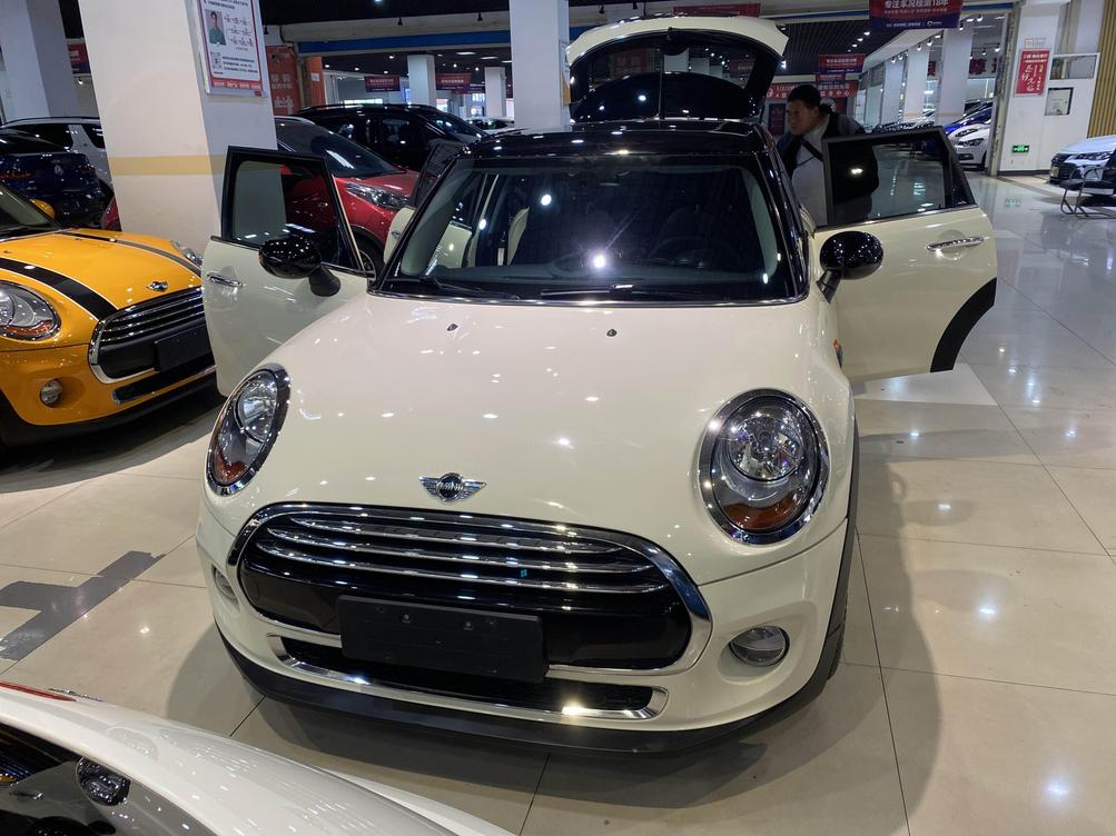 r1020484-mini-2016_0