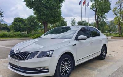 r1020487-skoda-octavia-2019_0