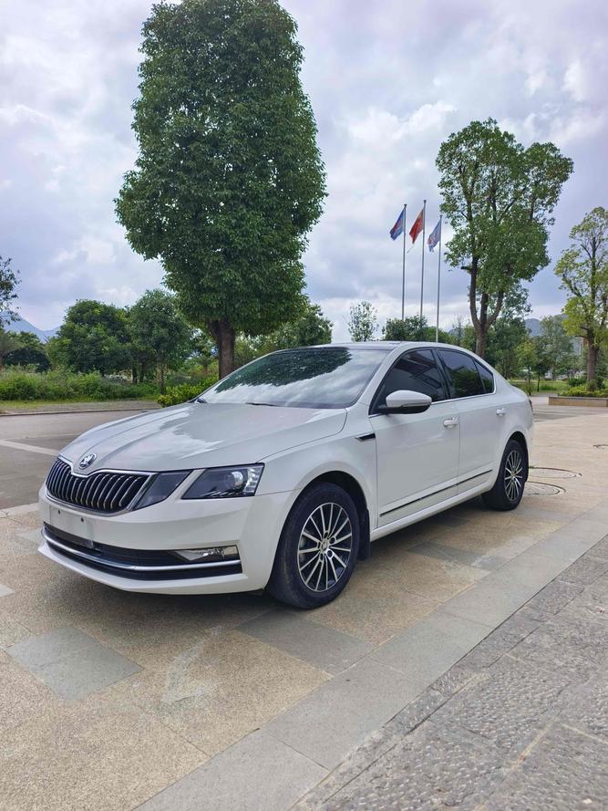 r1020487-skoda-octavia-2019_0
