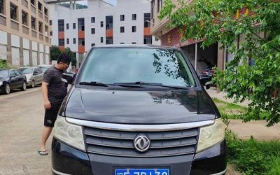 r1020557-dongfeng-succe-2011_0