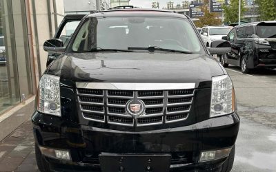 r1020566-escalade-2009_0