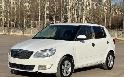 r1020663-skoda-fabia-2012_0