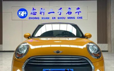 r1020771-mini-2016_0
