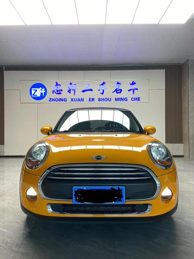 r1020771-mini-2016_0