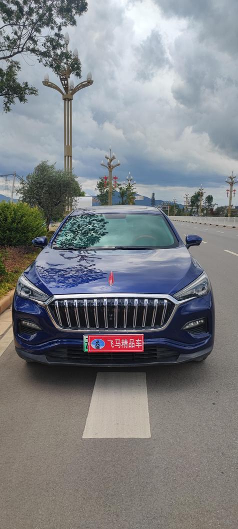 r1021010-hongqi-e-hs3-2019_0
