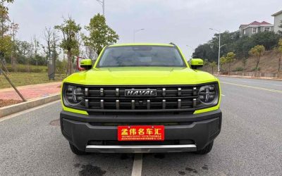 r1021268-haval-x-dog-2022_0