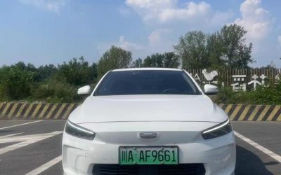 r1021279-geely-geometry-a-2022_0