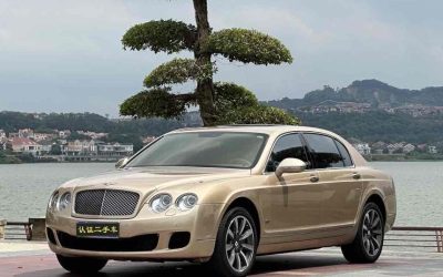 r1021429-bentley-flying-spur-2011_0