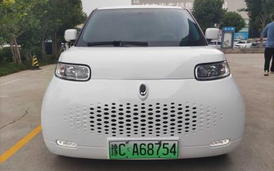 r1021431-ora-white-cat-2021_0