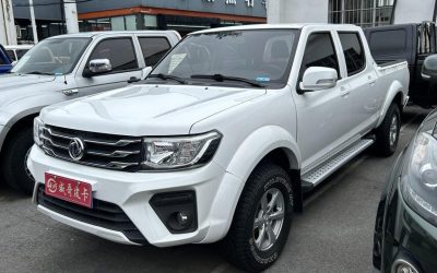 r1021436-dongfeng-ruiqi-2021_0