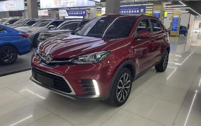 r1021468-mg-gs-2017_0