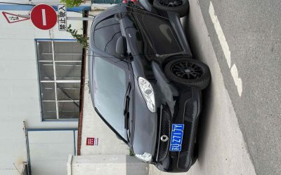 r1021493-smart-fortwo-2013_0