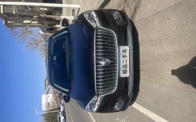 r1021516-borgward-bx7-2019_0