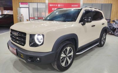 r1021525-haval-dargo-2023_0