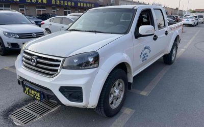 r1021590-great-wall-wingle-5-2020_0