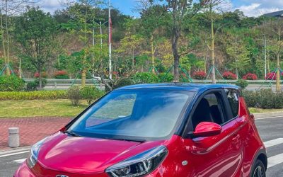 r1021623-chery-ev-little-ant-2022_0