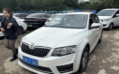 r1021676-skoda-octavia-2019_0