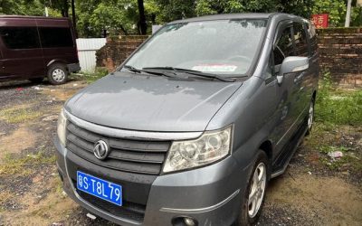 r1021958-dongfeng-succe-2012_0