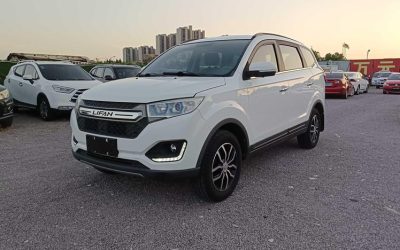 r1021997-lifan-maiwei-2017_0