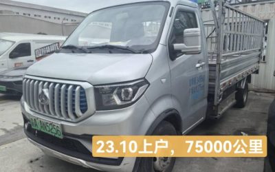 r204214-shenqi-t30ev-2023_1