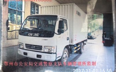 r204362-dolica-d5-2017_1