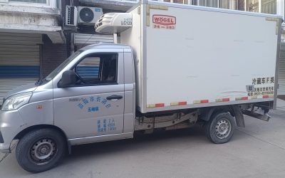 r206595-yuling-2020_1