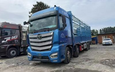 r207775-foton-auman-est-2023_1