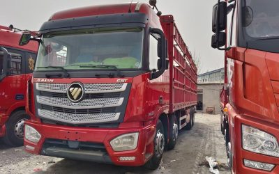 r207833-foton-auman-est-2019_1