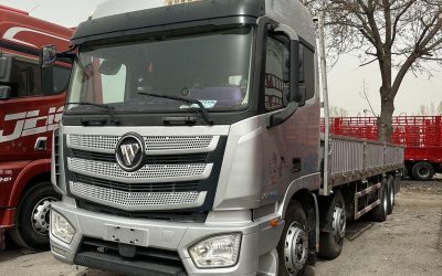 r207834-foton-auman-est-2019_1