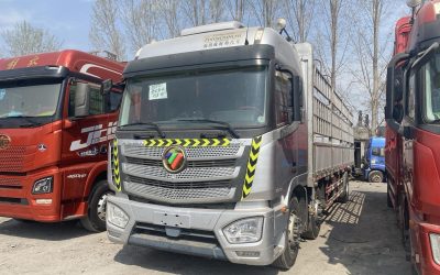 r207837-foton-auman-est-2020_1