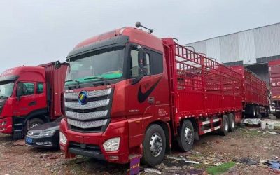 r207839-foton-auman-est-2019_1