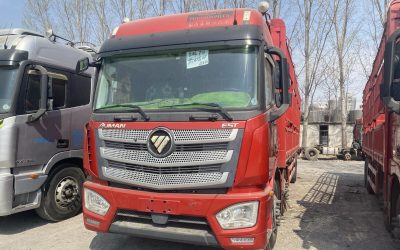 r207845-foton-auman-est-2020_1