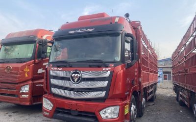 r207846-foton-auman-est-2020_1