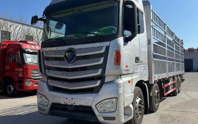 r207870-foton-auman-est-2020_1