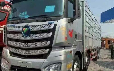 r207875-foton-auman-est-2020_1