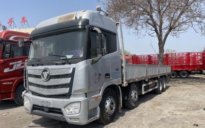 r207876-foton-auman-est-2019_1